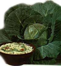 Cabbage